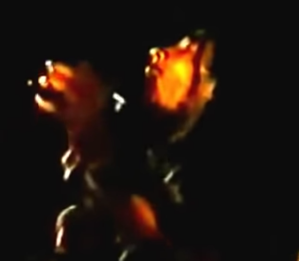 Screen Shot 2020-02-07 at 12.09.18 AM